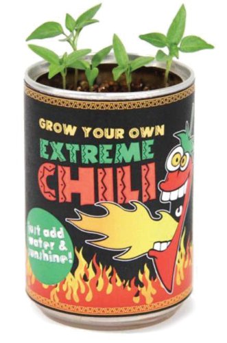 Grow Your Own Extreme Chilli